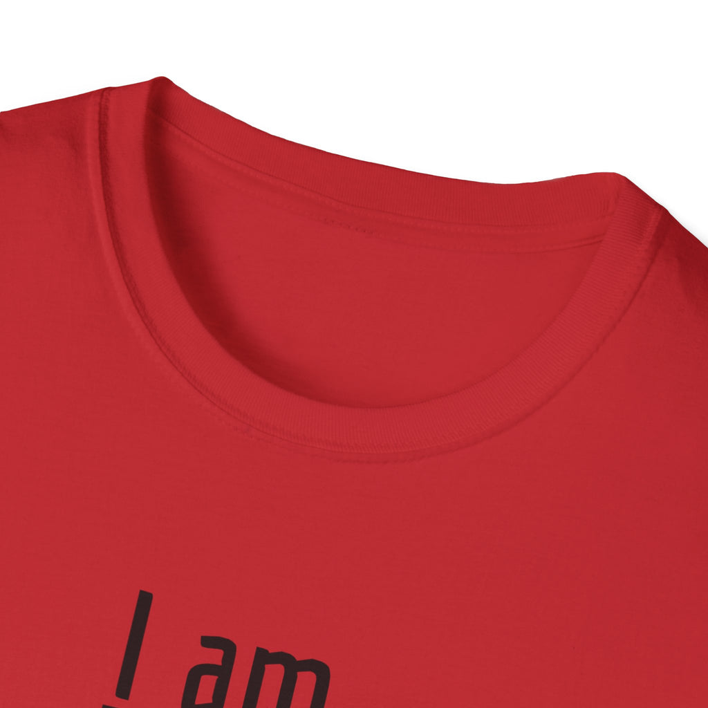 Hamilton "I am..." T-Shirt