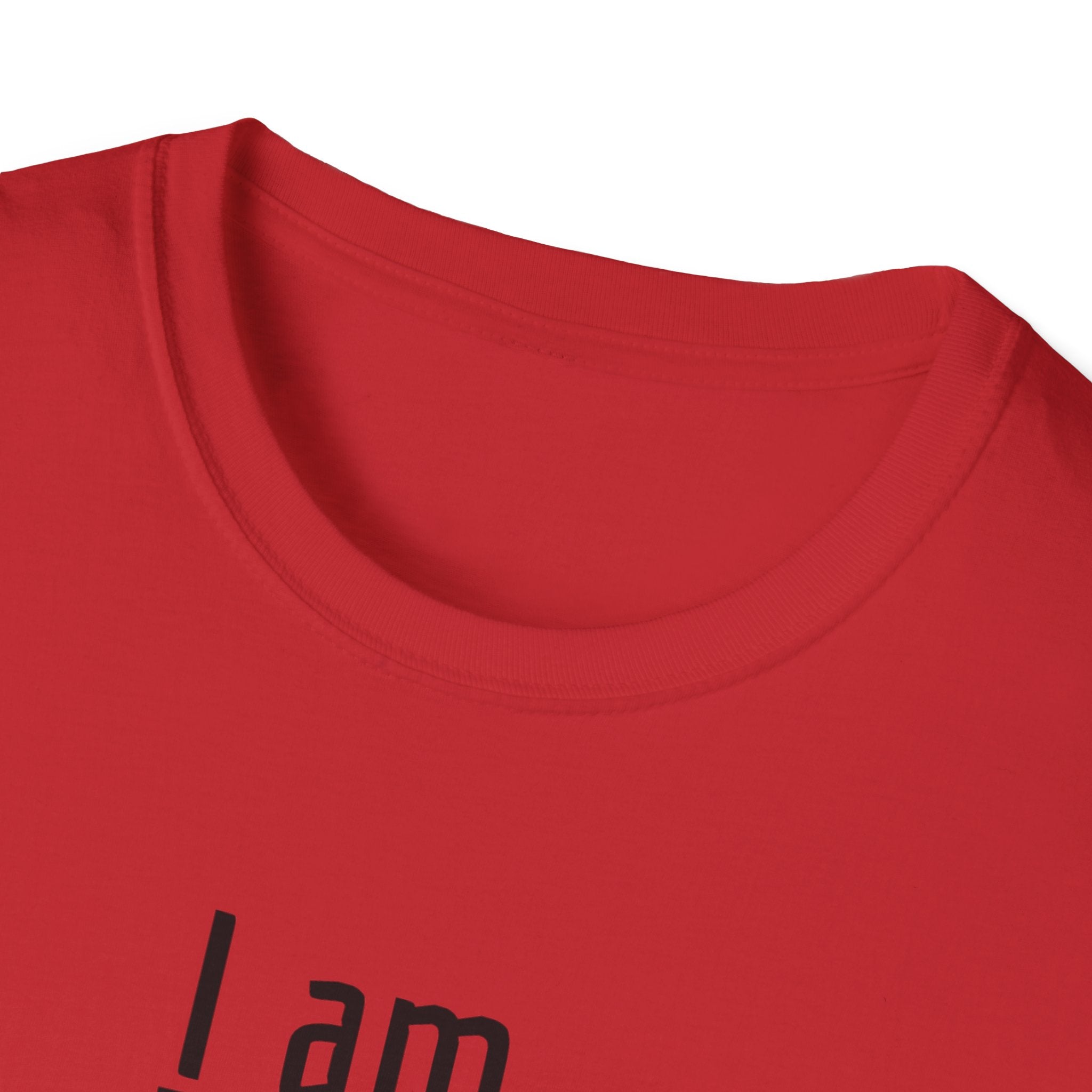 Hamilton "I am..." T-Shirt