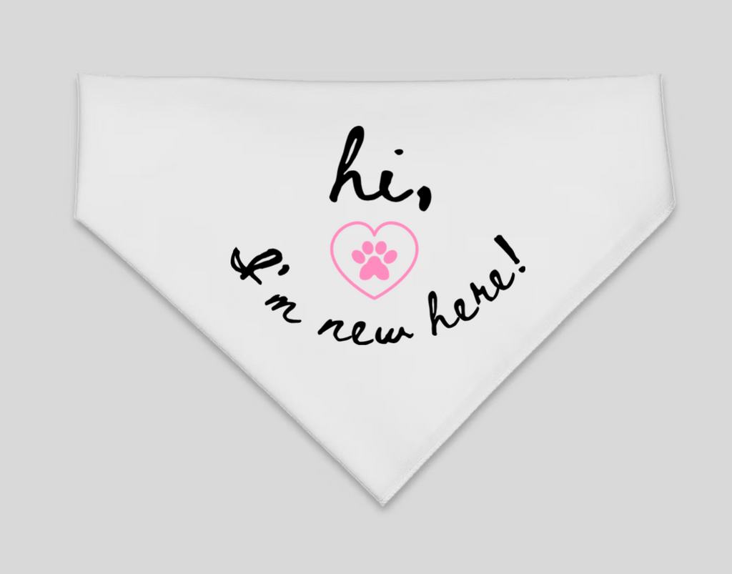 "Hi, I'm New Here" Pet Bandana